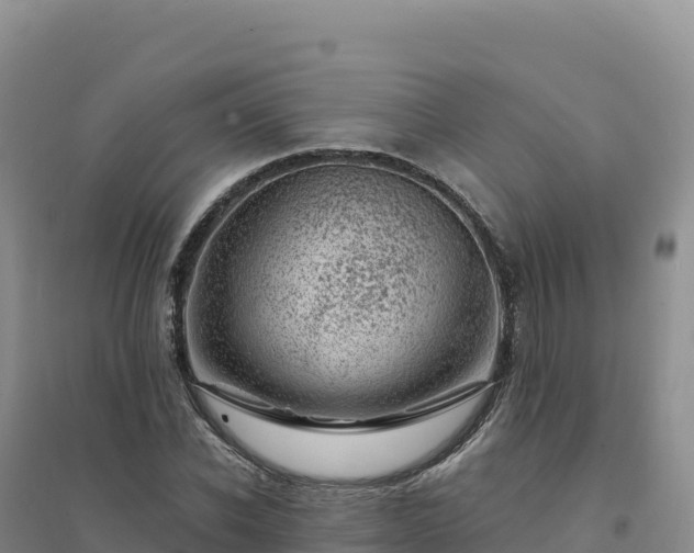 X0000094380926200711091558