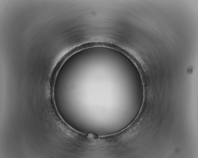 X0000094380927200711091558