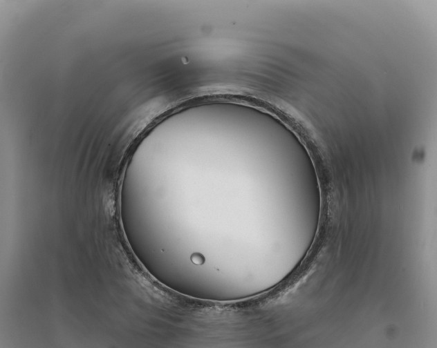 X0000094380929200711091558