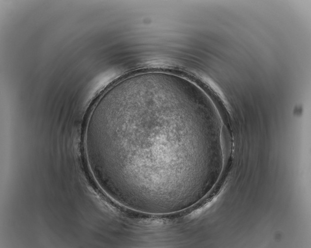 X0000094380930200711091558