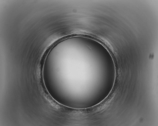 X0000094380931200711091558