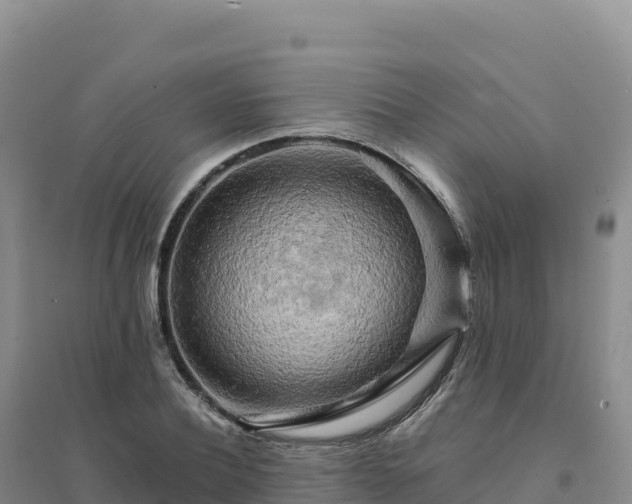 X0000094380932200711091558