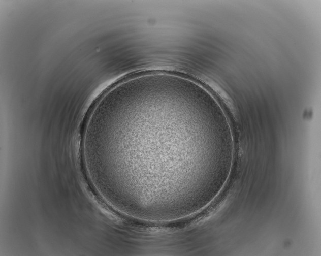 X0000094380933200711091558
