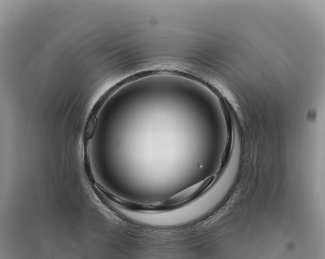 X0000094380936200711091558