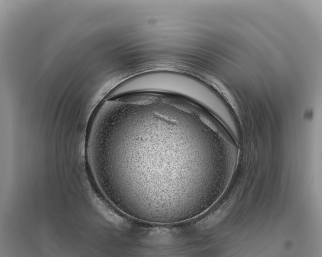X0000094380938200711091558
