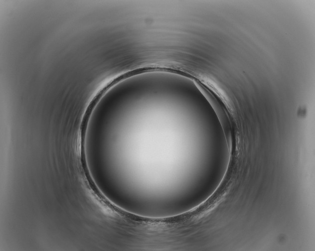X0000094380940200711091558