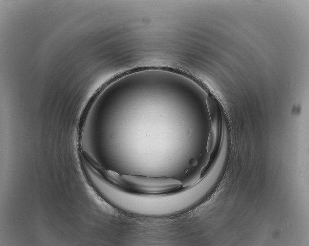 X0000094380942200711091558