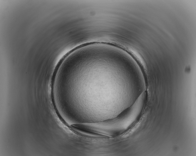 X0000094380944200711091558