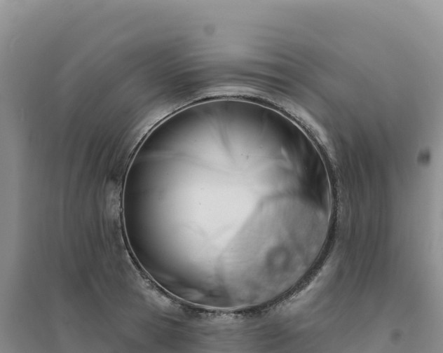 X0000094380945200711091558
