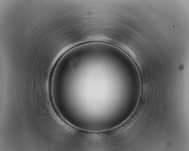 X0000094380947200711091558