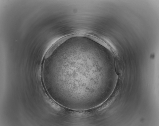 X0000094380948200711091558