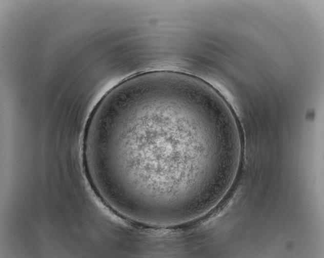 X0000094380949200711091558