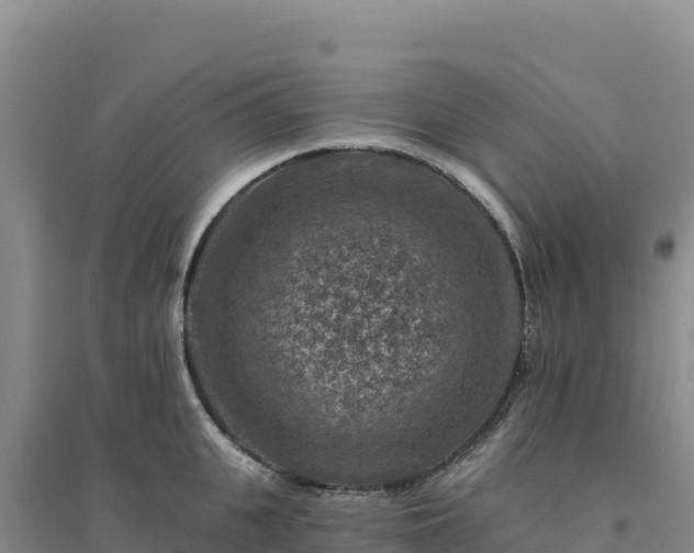 X0000094380951200711091558