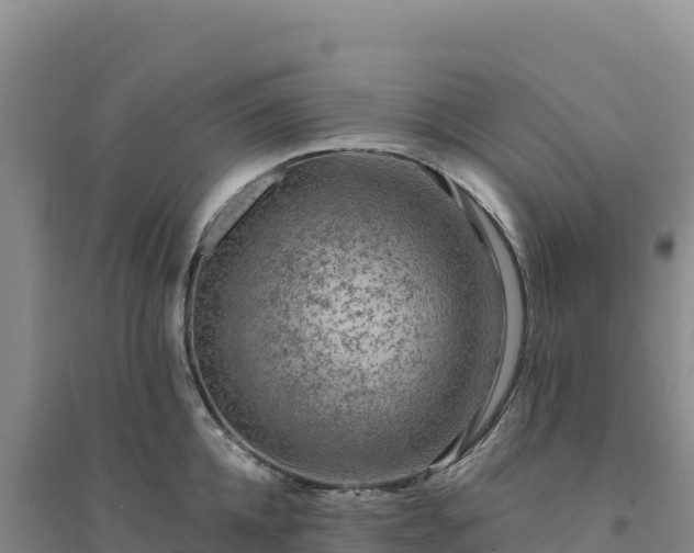 X0000094380952200711091558