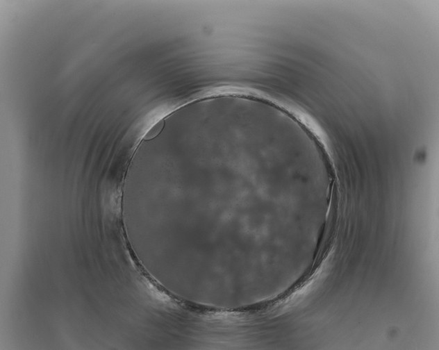 X0000094380953200711091558