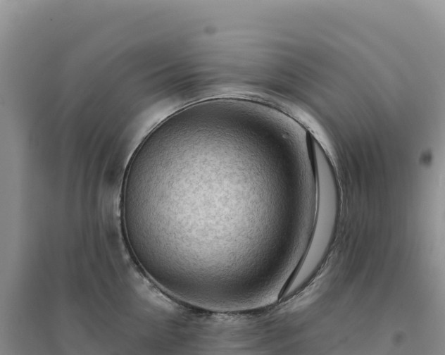 X0000094380954200711091558