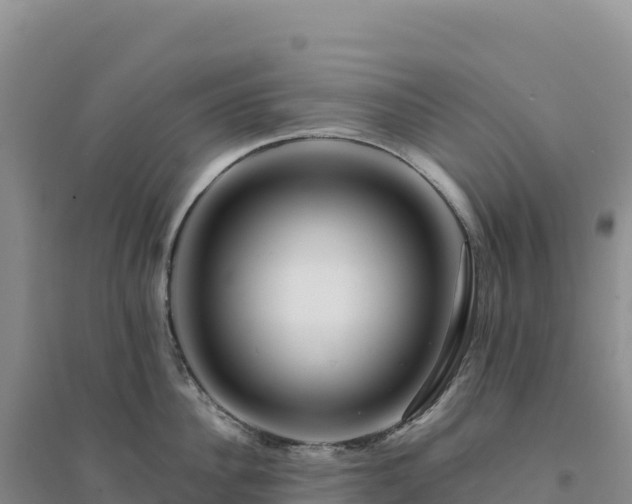 X0000094380956200711091558