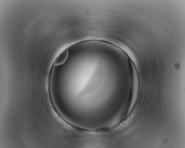 X0000094380958200711091558