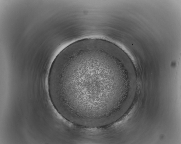 X0000094380959200711091558