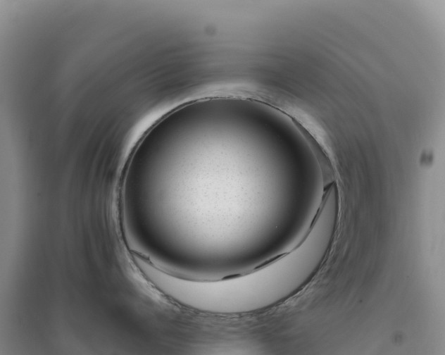 X0000094380960200711091558