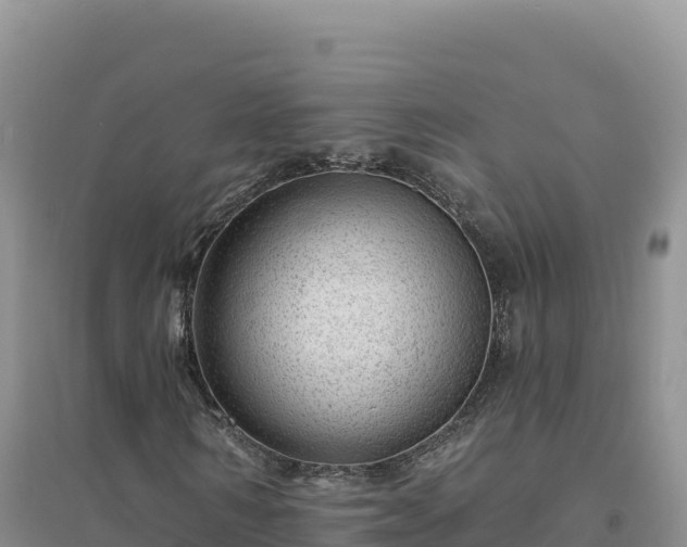 X0000094380962200711091557
