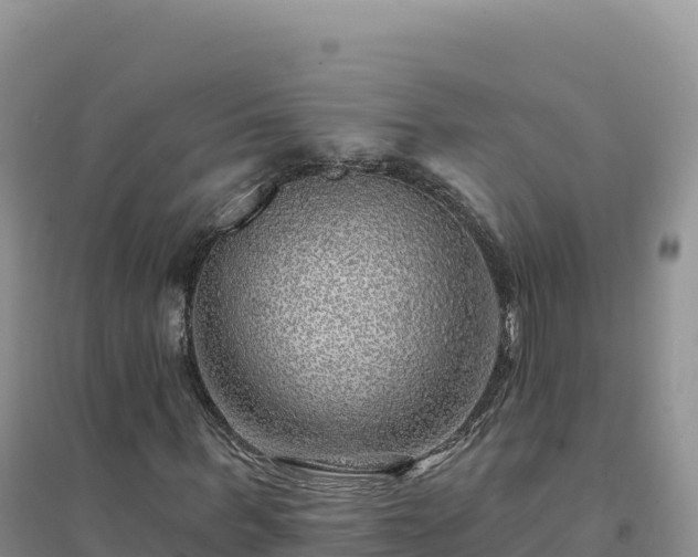X0000094380963200711091557