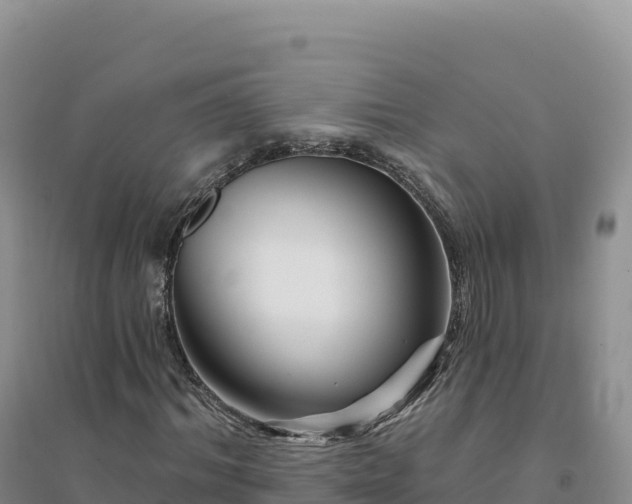 X0000094380964200711091557