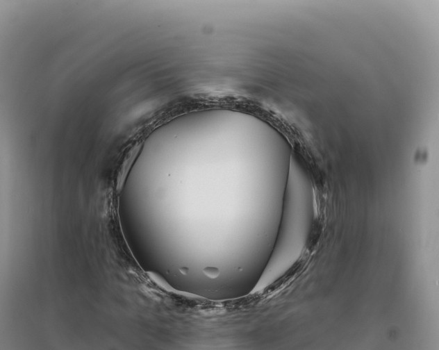 X0000094380965200711091557