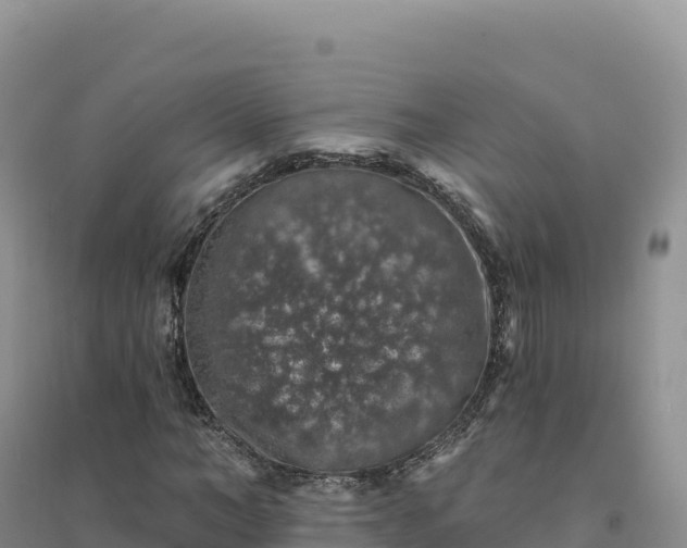 X0000094380966200711091557