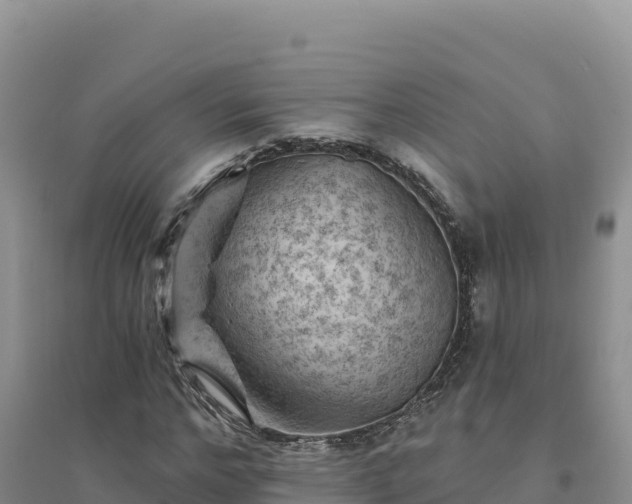 X0000094380968200711091557