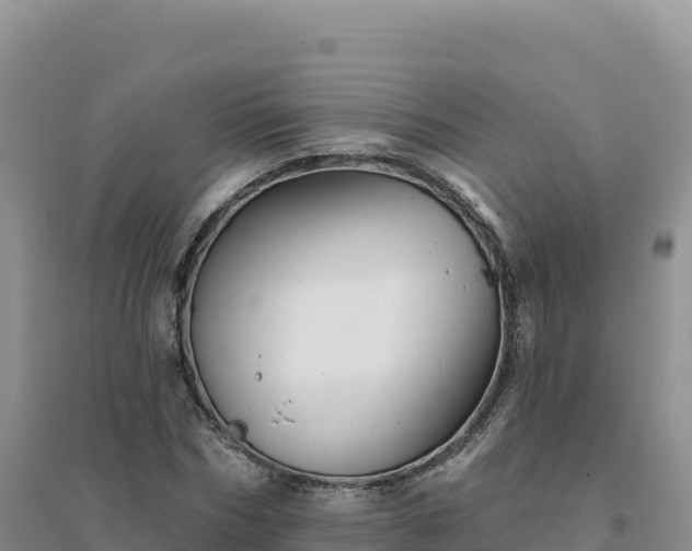 X0000094380970200711091557