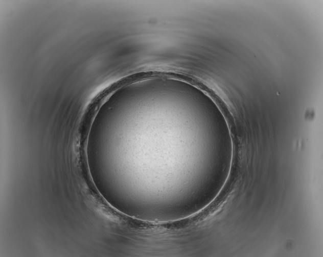X0000094380971200711091557