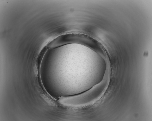 X0000094380973200711091557