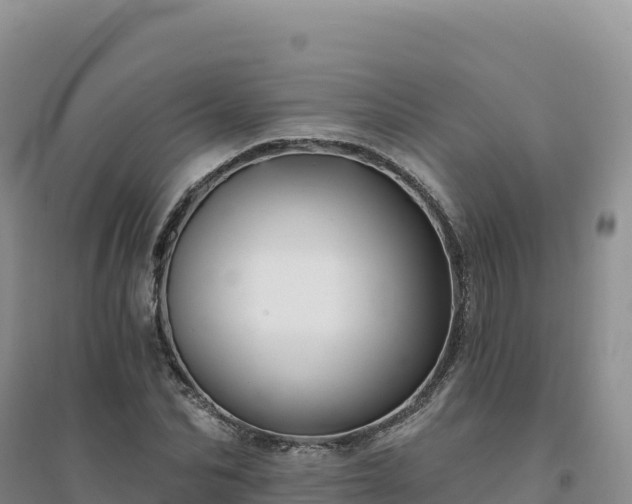 X0000094380974200711091557