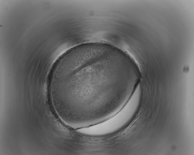 X0000094380975200711091557