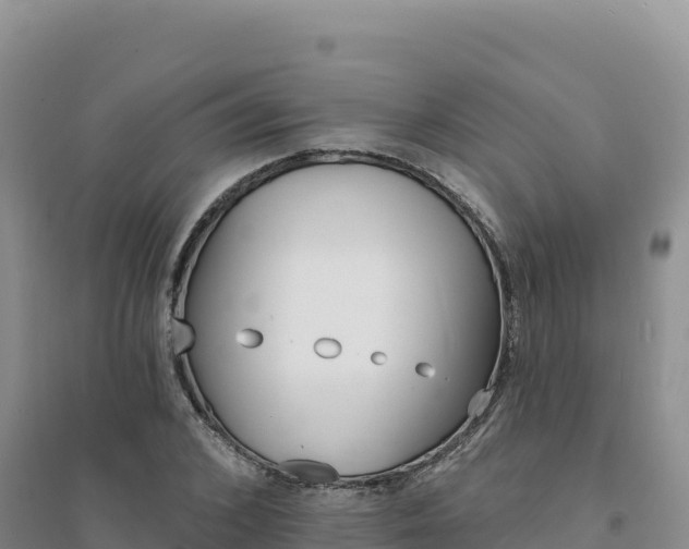 X0000094380976200711091557
