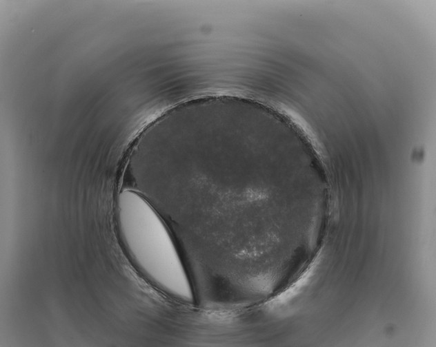 X0000094380977200711091557