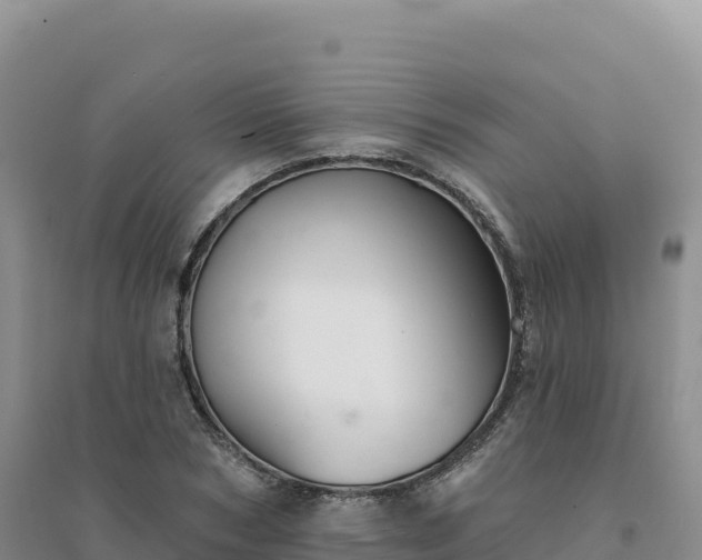 X0000094380978200711091557