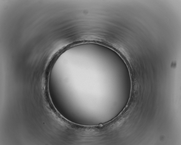 X0000094380979200711091557