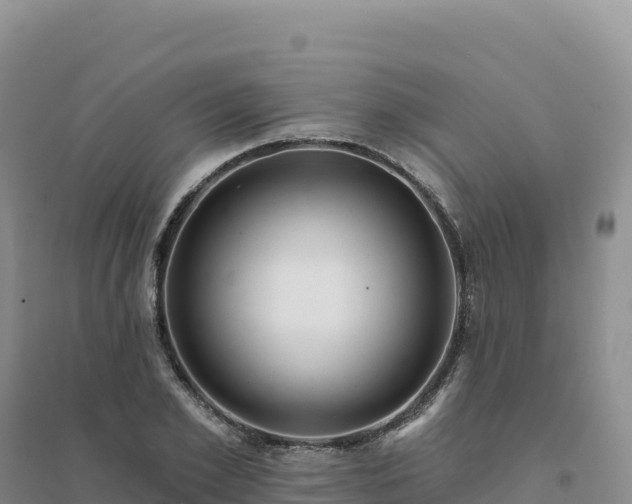 X0000094380981200711091557