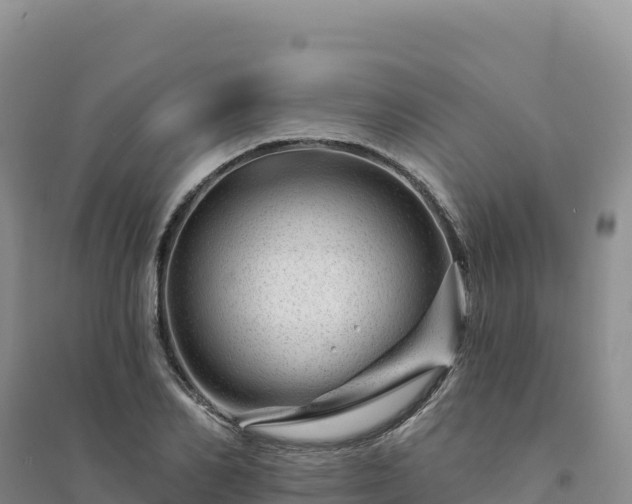 X0000094380982200711091557