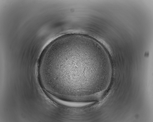 X0000094380983200711091557