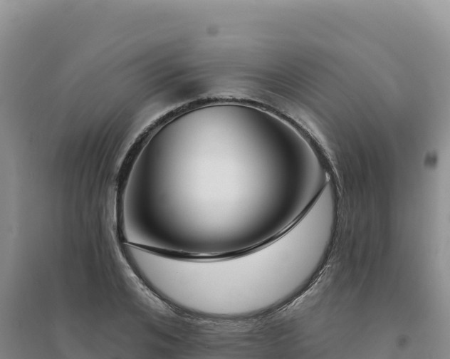 X0000094380984200711091557