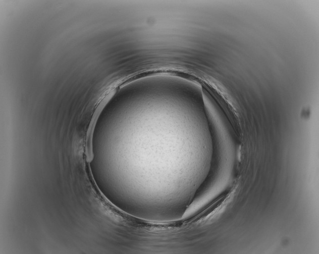 X0000094380985200711091557
