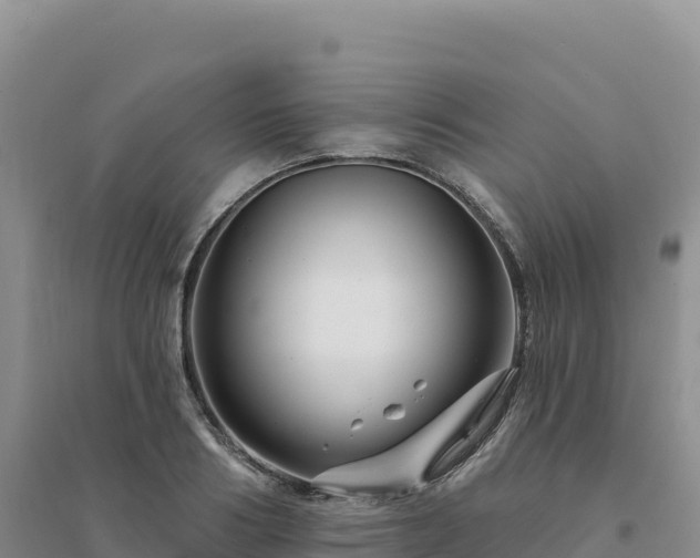 X0000094380986200711091557