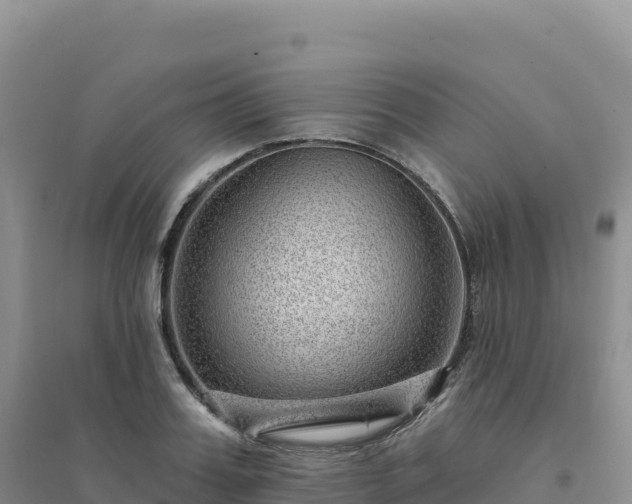 X0000094380987200711091557
