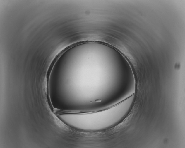 X0000094380988200711091557