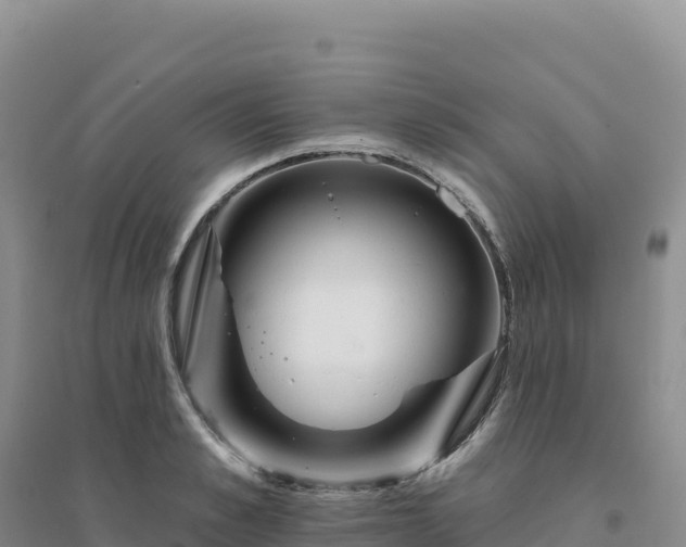 X0000094380989200711091557