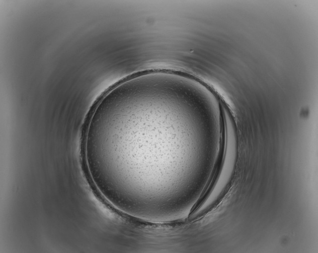 X0000094380991200711091557