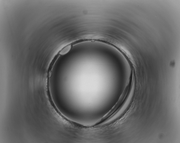 X0000094380992200711091557